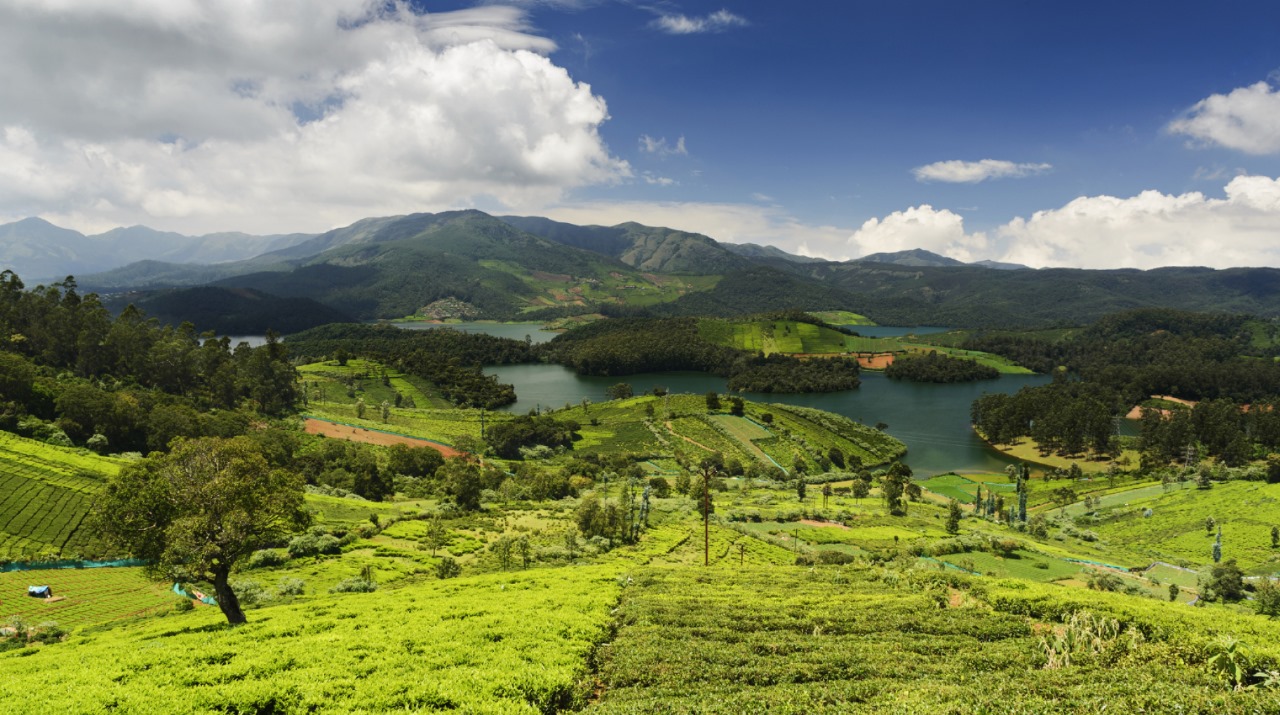 Ooty is a Prime Destination