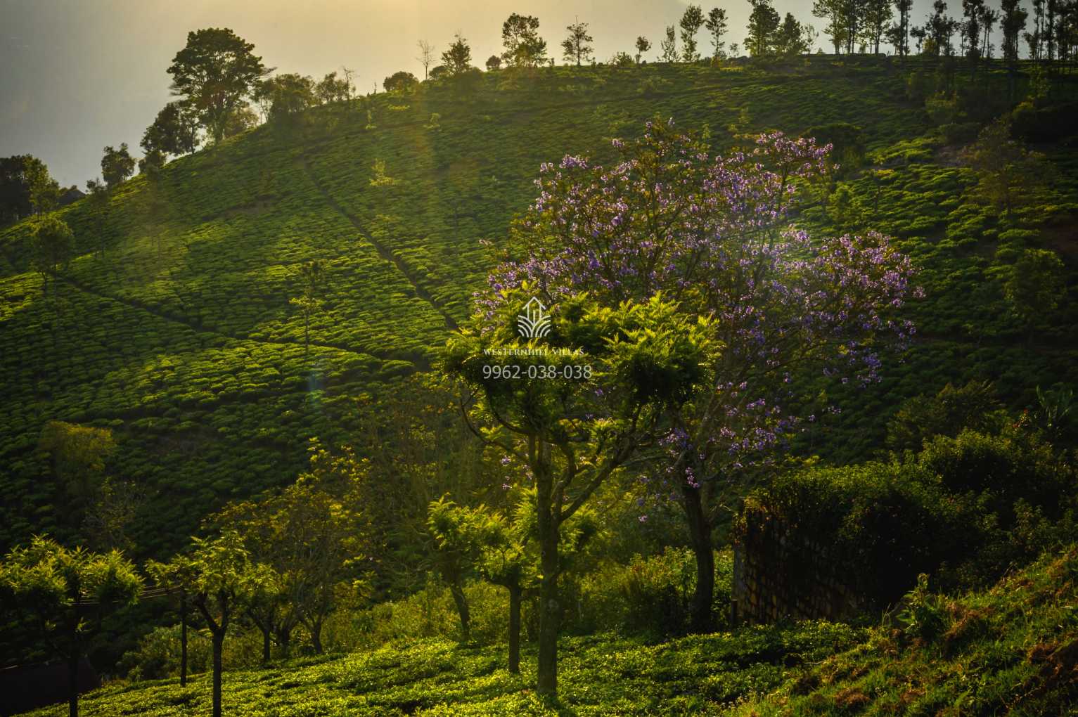 farmvillas in kotagiri