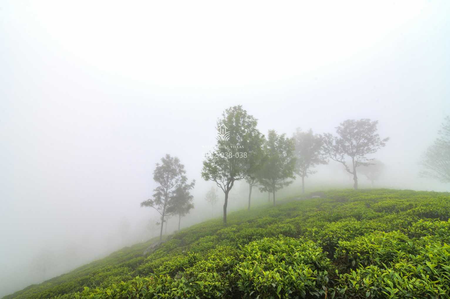 farmvillas in kotagiri