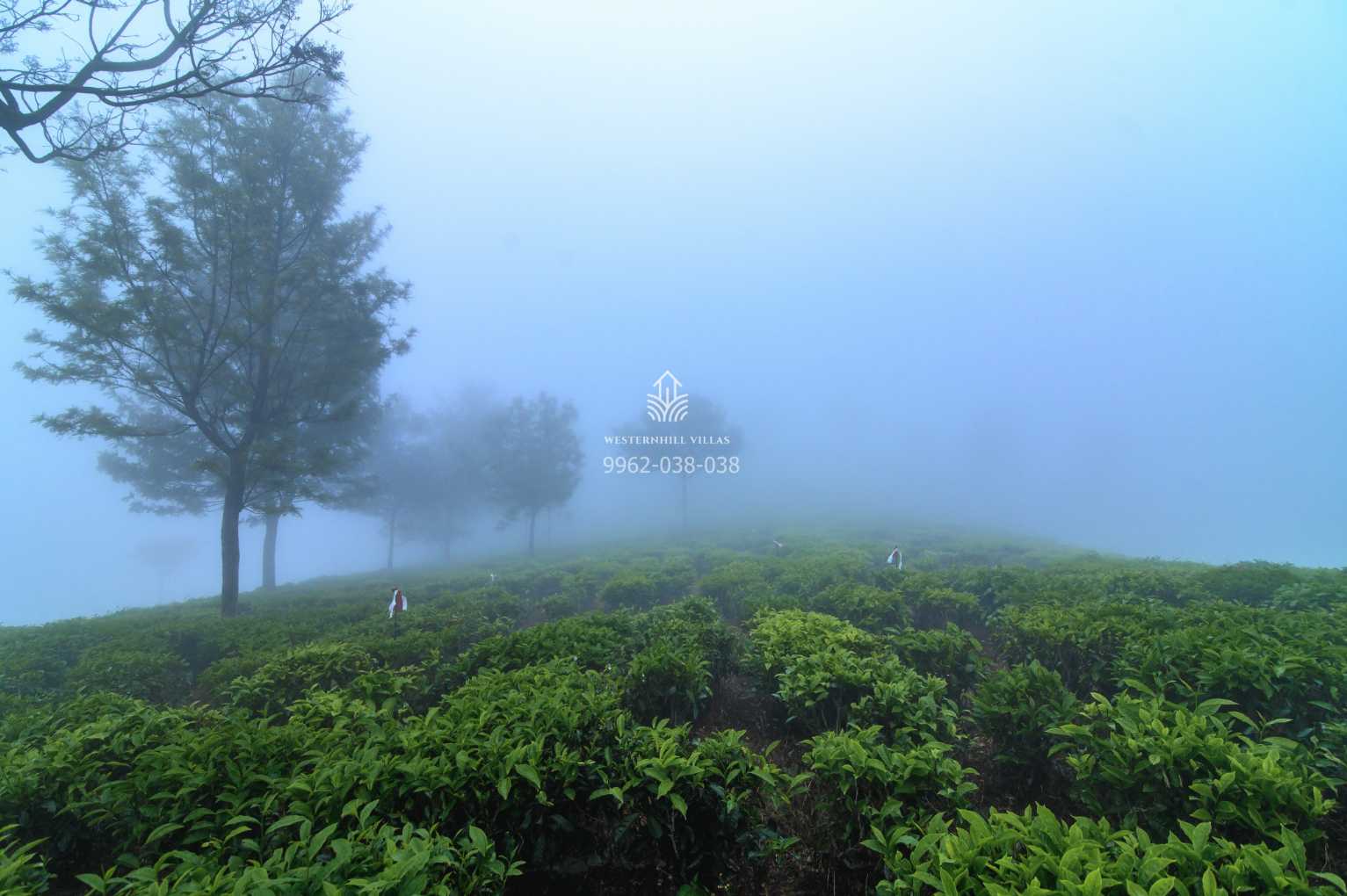 kotagiri