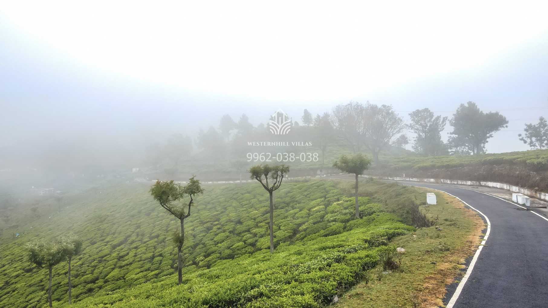 kotagiri villas